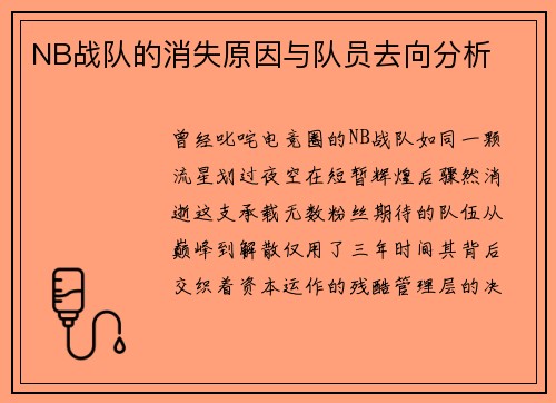 NB战队的消失原因与队员去向分析